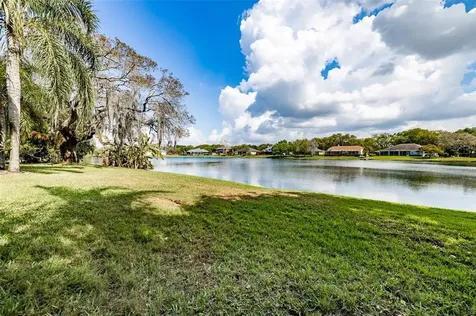 8902 Eagle Watch Drive Riverview FL 33578