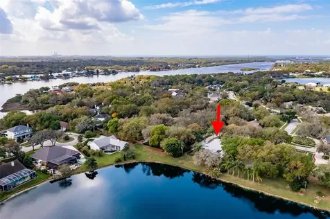 8902 Eagle Watch Drive Riverview FL 33578