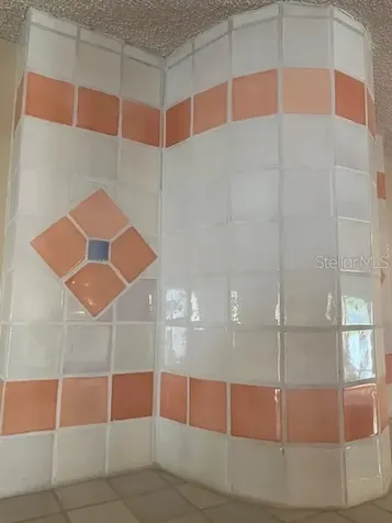 909 Woodland Drive Palm Harbor FL 34683