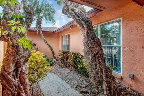 909 Woodland Drive Palm Harbor FL 34683
