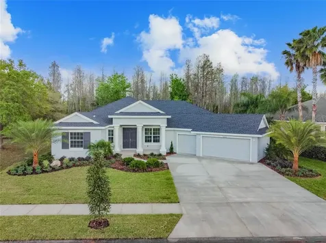 20454 Lace Cascade Road Land O Lakes FL 34637