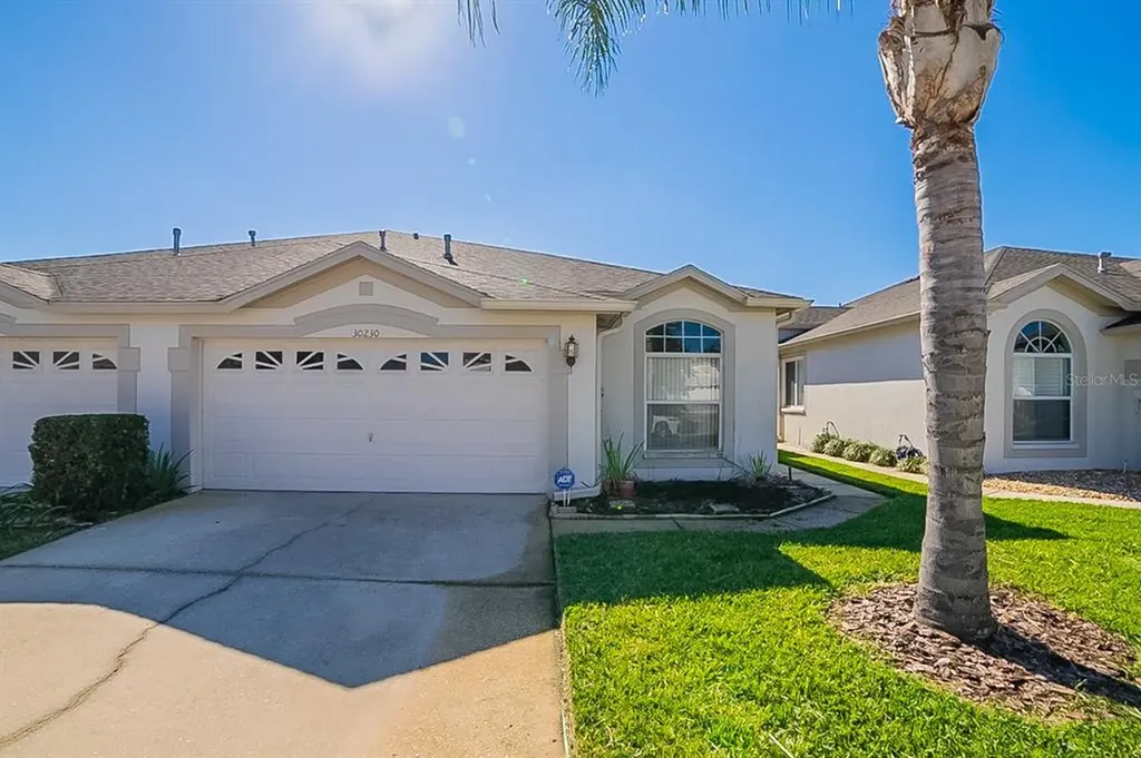 30230 Emmetts Court Wesley Chapel FL 33543