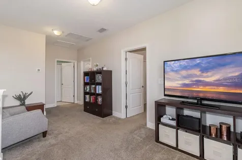 1321 Thornbury Drive Parrish FL 34219