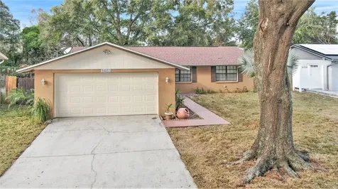 16322 Bonneville Drive Tampa FL 33624