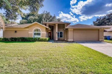 2523 Brimhollow Drive Valrico FL 33596