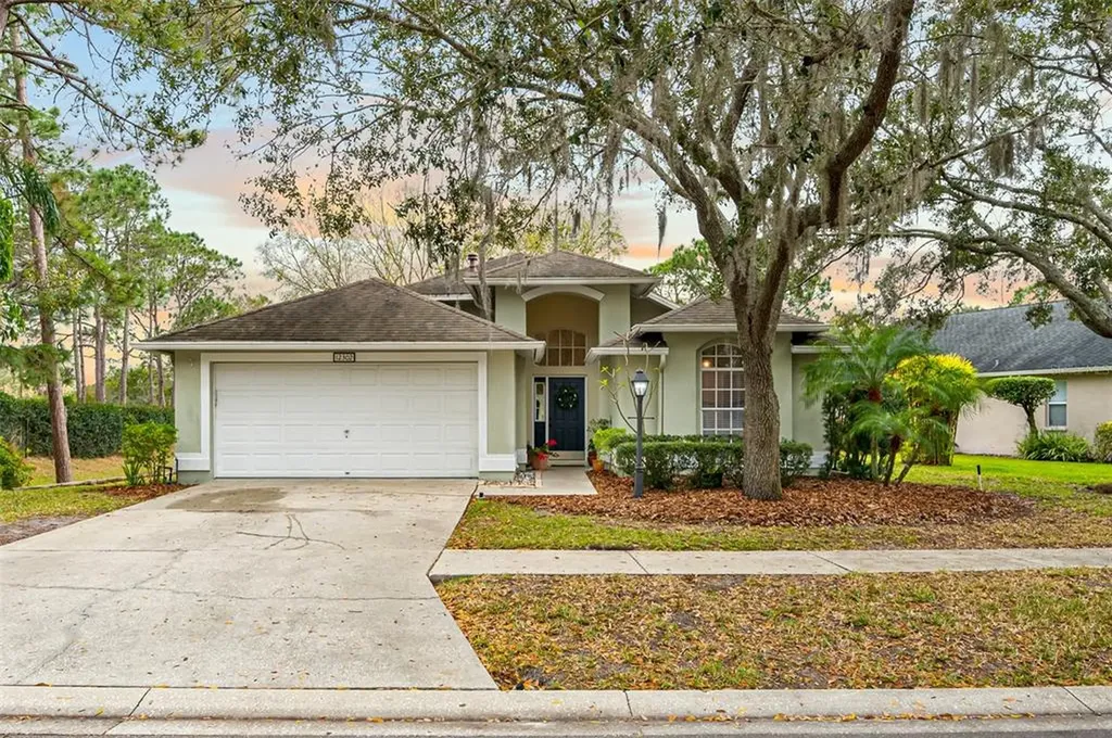 12302 Glenfield Avenue Tampa FL 33626