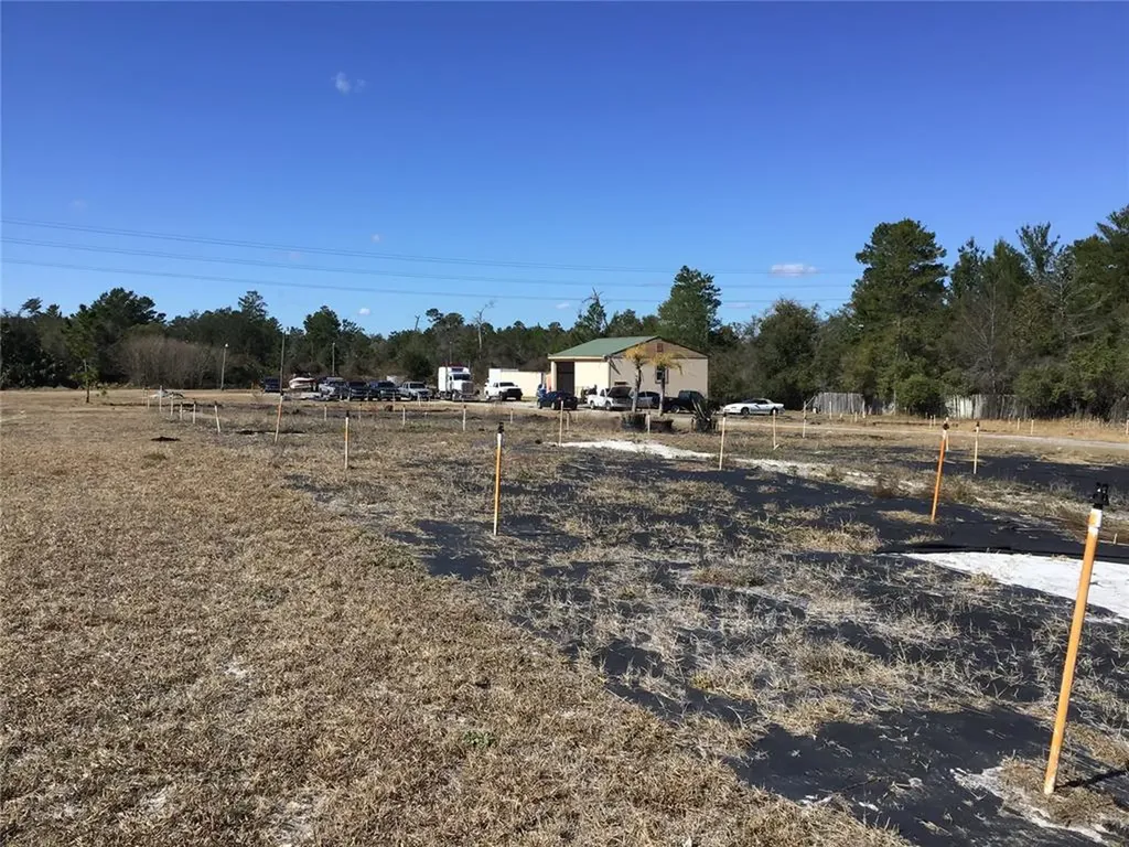1685 Park Avenue Orange City FL 32763