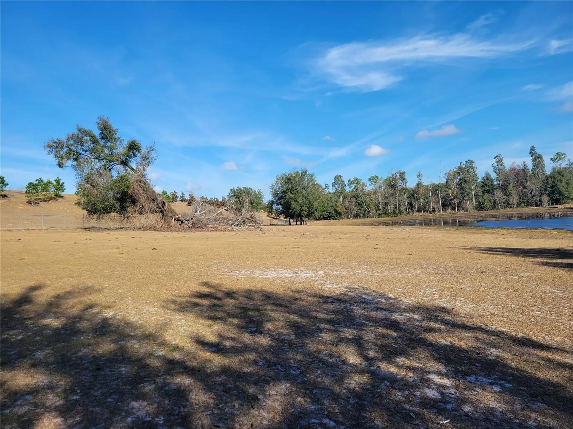 3142 Plymouth Sorrento Road Apopka FL 32712