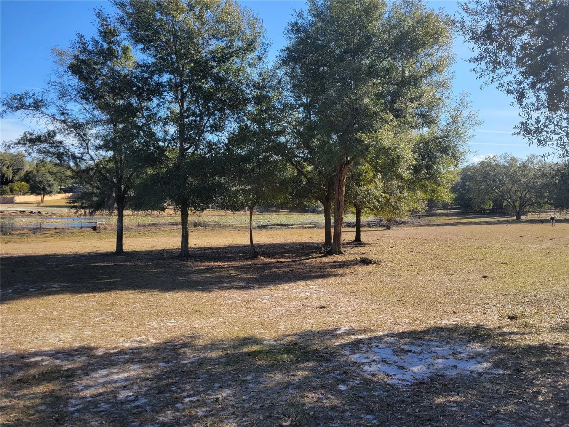 3142 Plymouth Sorrento Road Apopka FL 32712