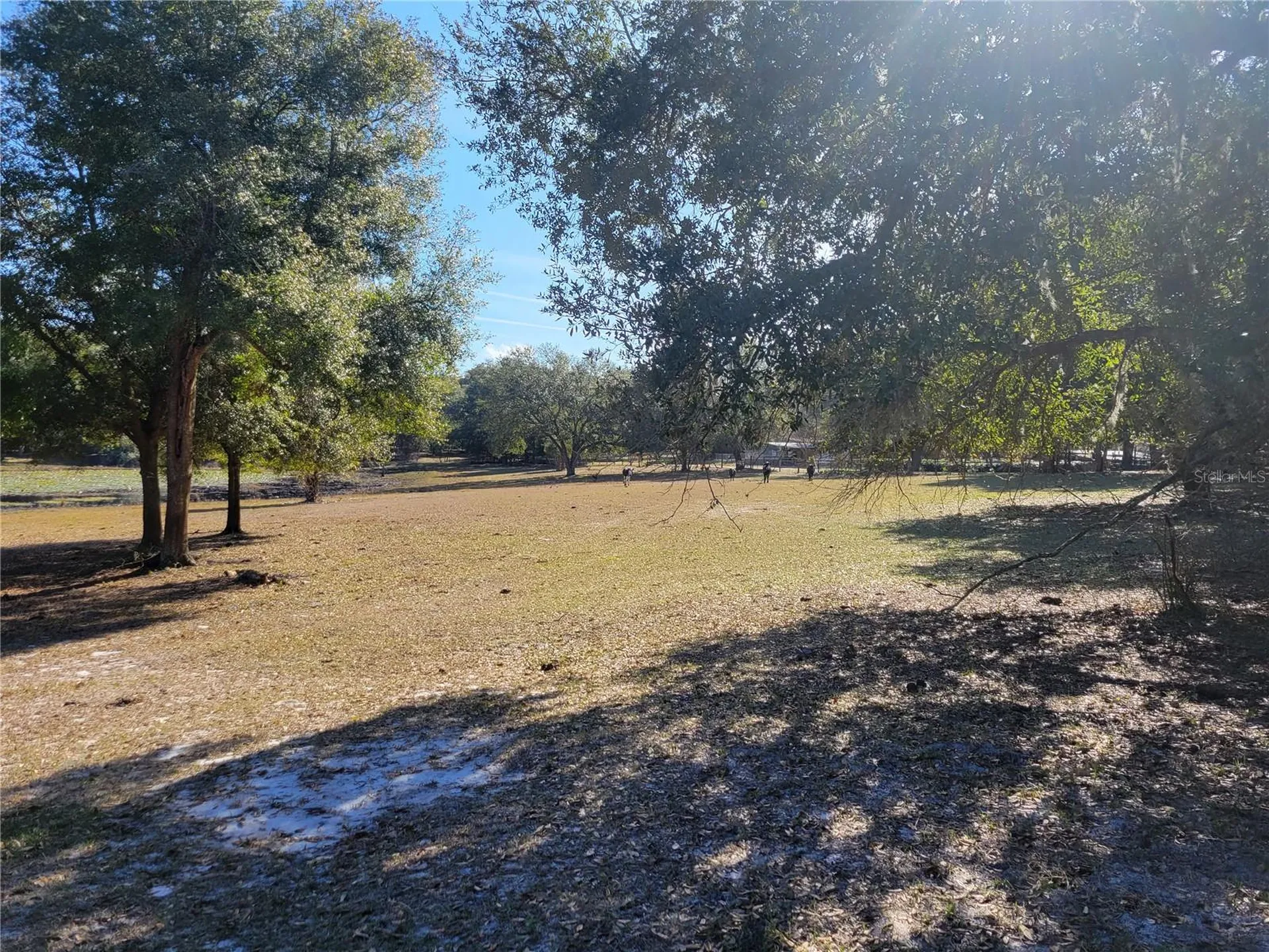 3142 Plymouth Sorrento Road Apopka FL 32712