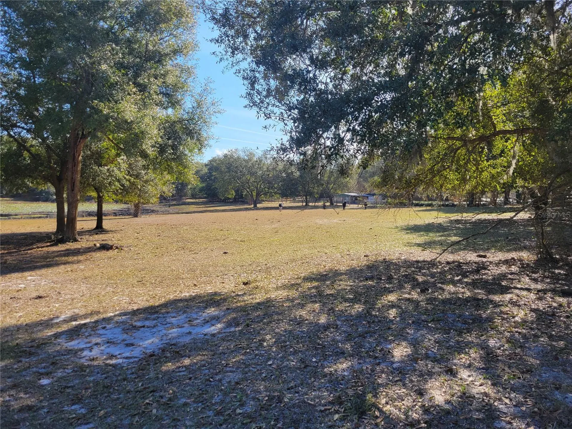 3142 Plymouth Sorrento Road Apopka FL 32712