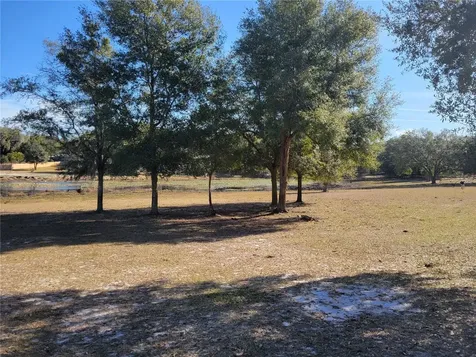 3142 Plymouth Sorrento Road Apopka FL 32712