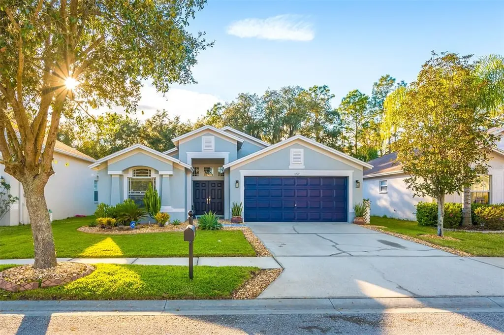 6719 Bluff Meadow Court Wesley Chapel FL 33545