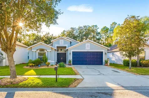 6719 Bluff Meadow Court Wesley Chapel FL 33545