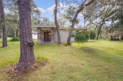 16195 SE 56th Place Road Ocklawaha FL 32179