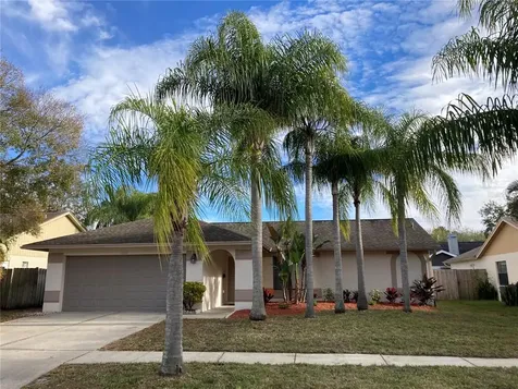 12012 Misty Brook Court Tampa FL 33635