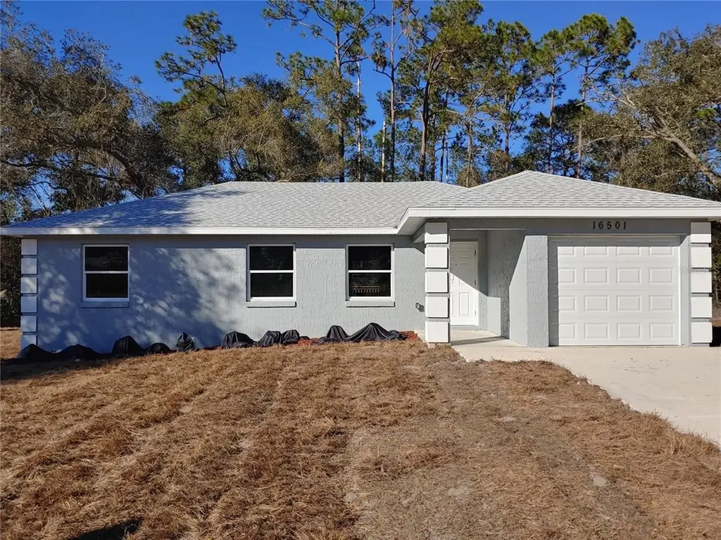 16501 SE 59th Street Ocklawaha FL 32179