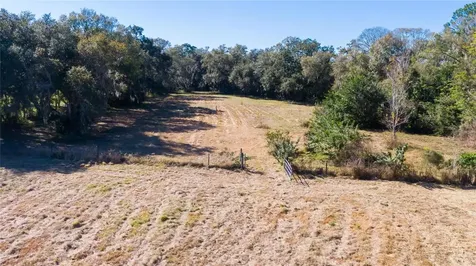 S. Forbes Road Dover FL 33527