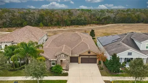 5932 Watercolor Drive Lithia FL 33547