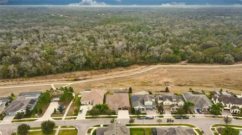 5932 Watercolor Drive Lithia FL 33547