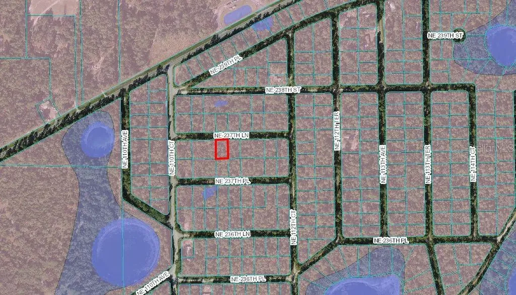 Lot 4 NE 237th Lane Fort Mc Coy FL 32134