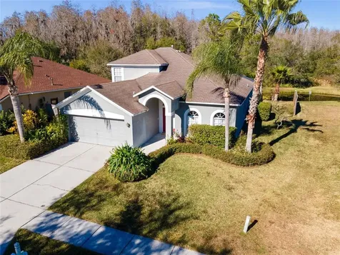 10319 Birdwatch Drive Tampa FL 33647