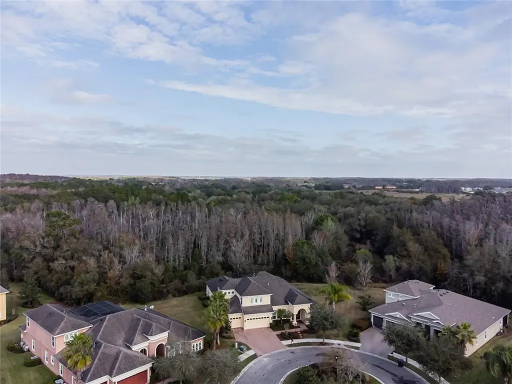 10014 Hazelnut Court Tampa FL 33647