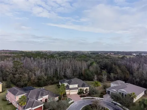 10014 Hazelnut Court Tampa FL 33647