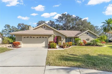 3633 Nettle Creek Court Holiday FL 34691
