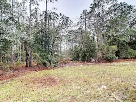 12420 SW 45th Street Ocala FL 34481