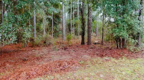 12420 SW 45th Street Ocala FL 34481