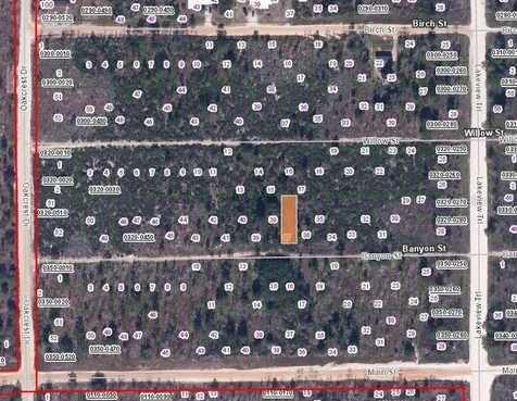 00 Banvon Street Interlachen FL 32148
