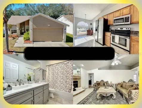 1253 Salt Clay Court Wesley Chapel FL 33544