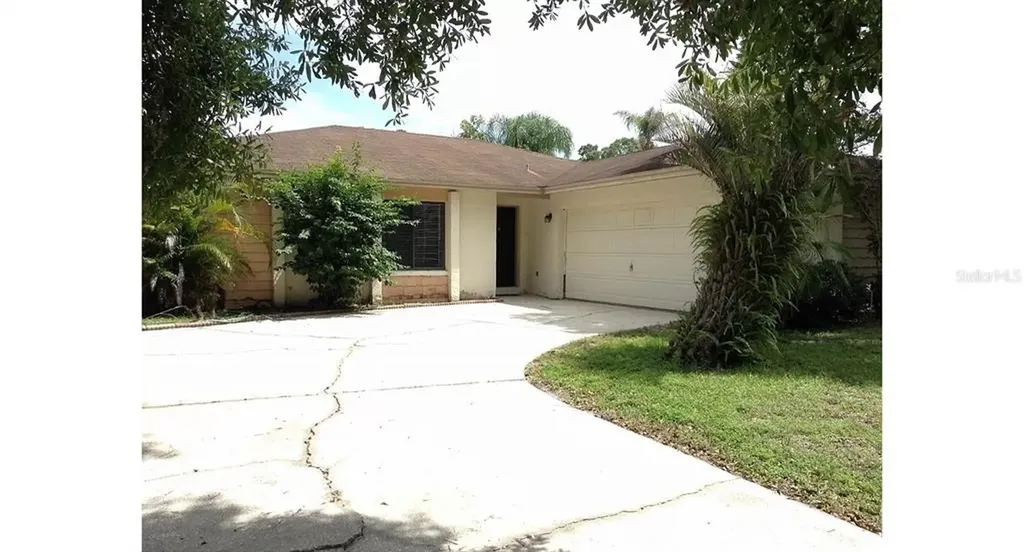 4223 Summerdale Drive Tampa FL 33624