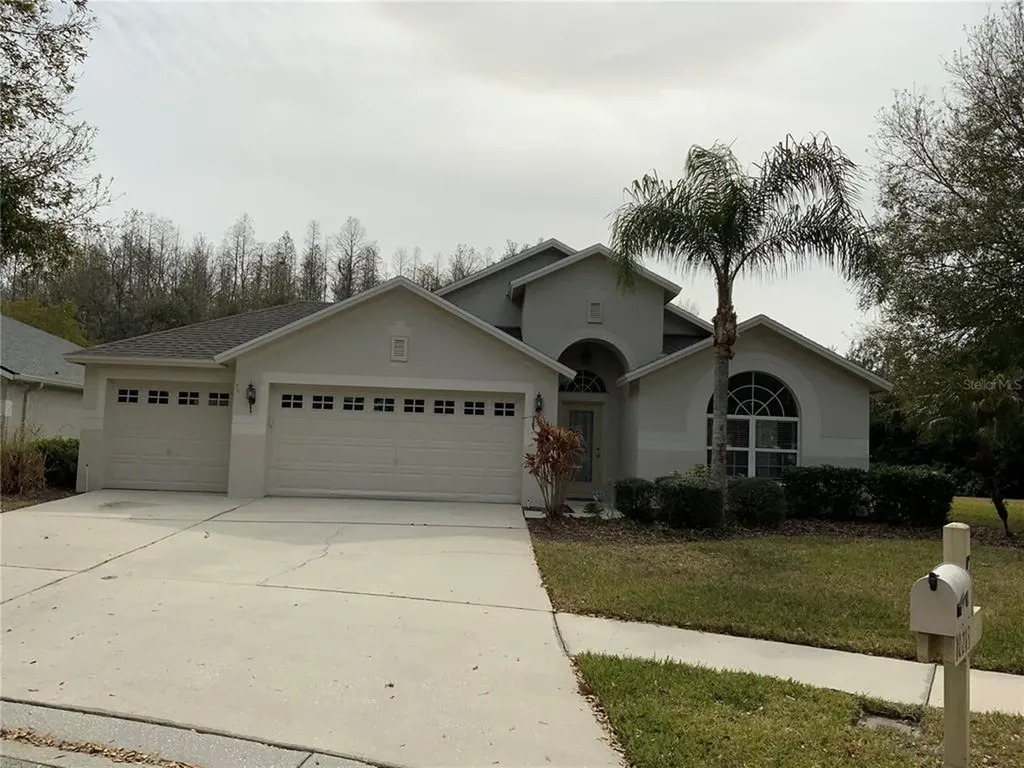 10213 Timberland Point Drive Tampa FL 33647
