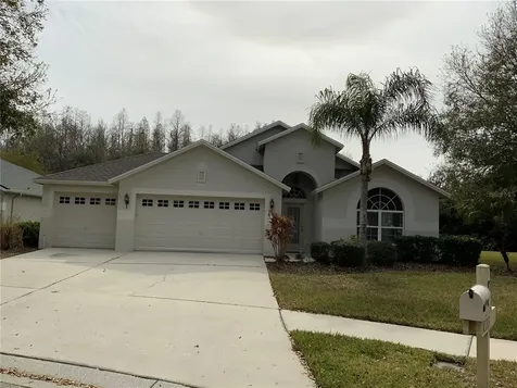 10213 Timberland Point Drive Tampa FL 33647