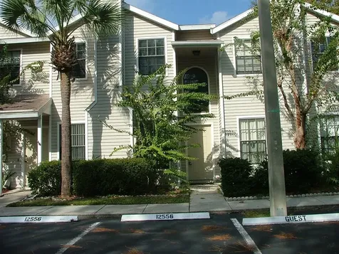 12556 Castle Hill Drive Tampa FL 33624