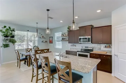 4035 Mossy Limb Court Palmetto FL 34221