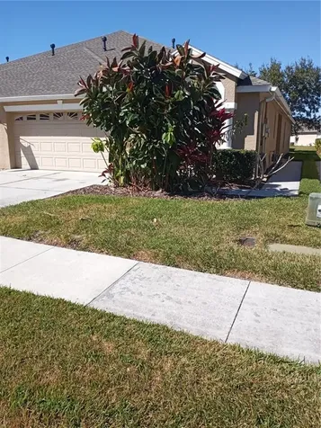 2835 Tanglewylde Drive Land O Lakes FL 34638