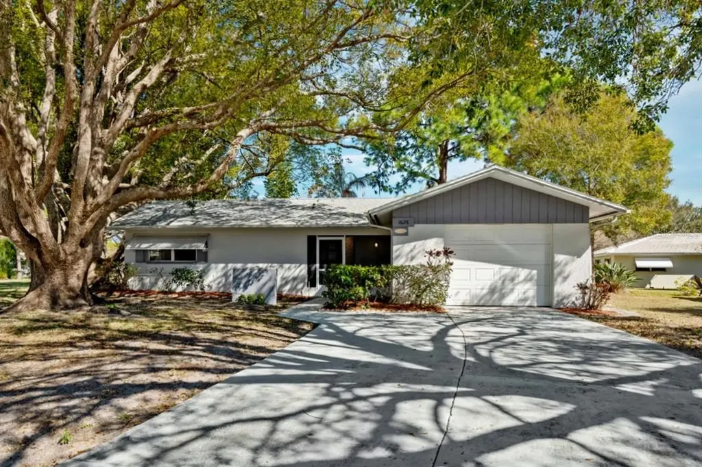 1628 Heather Place Palm Harbor FL 34684