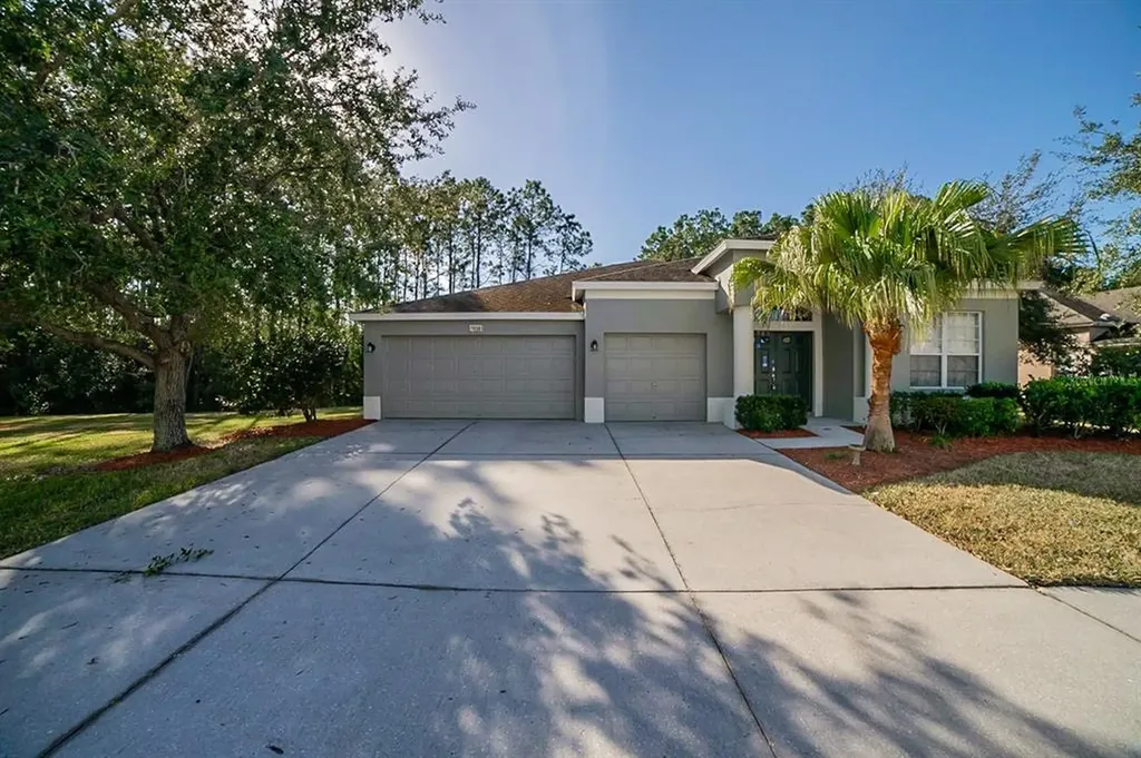 7638 Crescent Palm Drive Wesley Chapel FL 33545