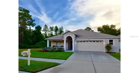 15801 Leatherleaf Lane Land O Lakes FL 34638