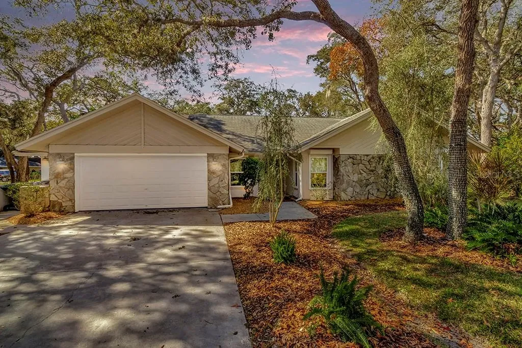 2412 Summerwood Court Dunedin FL 34698