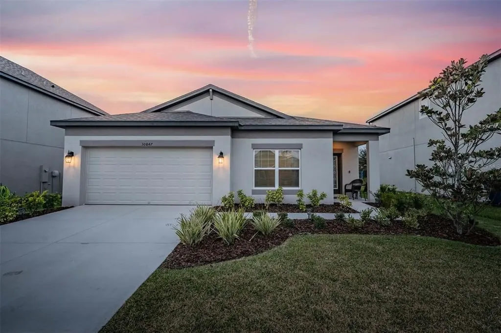 30847 Parrot Reef Court Wesley Chapel FL 33545