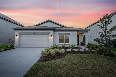 30847 Parrot Reef Court Wesley Chapel FL 33545