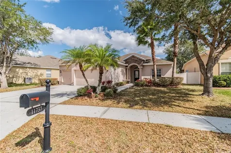 11737 Summer Springs Drive Riverview FL 33579
