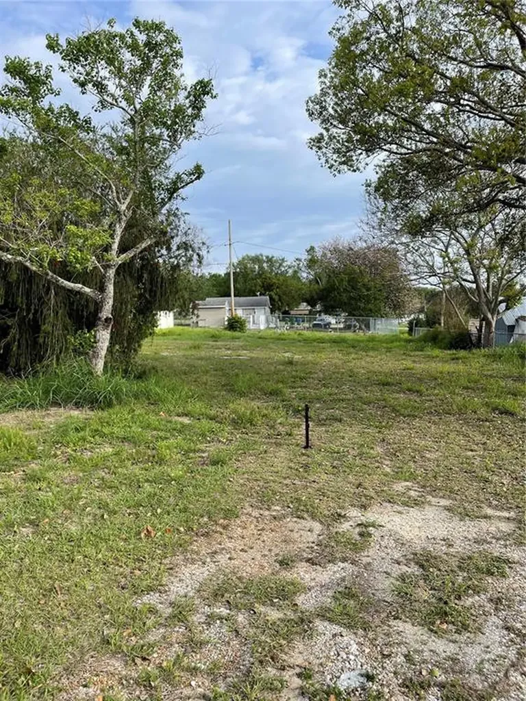 705 N Adams Avenue Dundee FL 33838