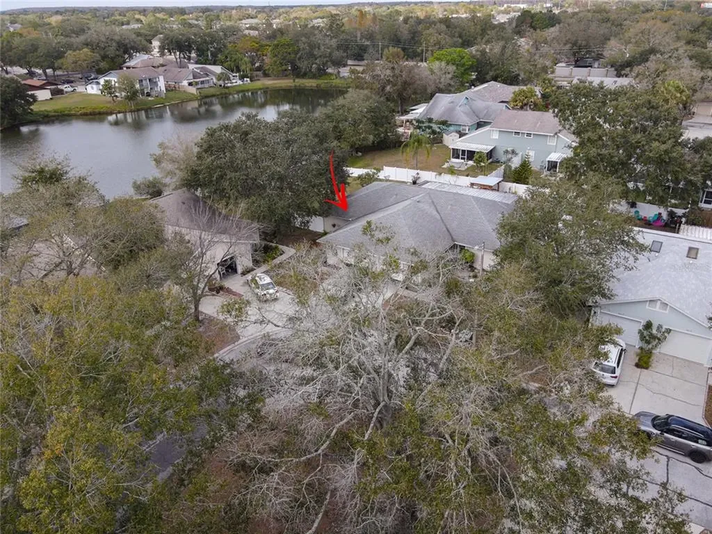 4421 Pine Meadow Court Tampa FL 33624