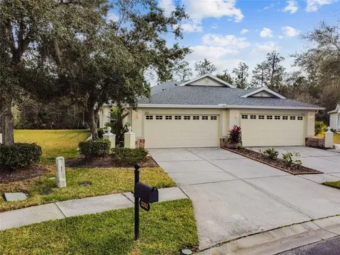 3352 Chapel Creek Circle Wesley Chapel FL 33544