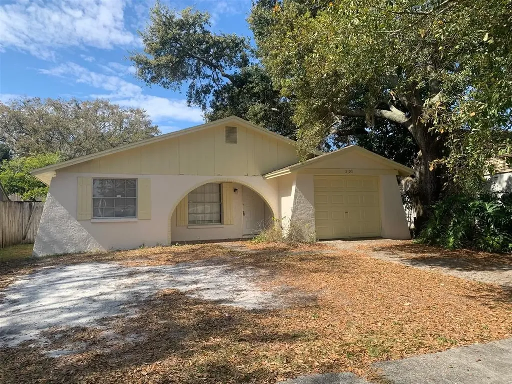 3103 Sandspur Drive Tampa FL 33618
